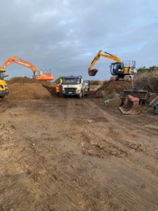 Japanese knotweed excavation