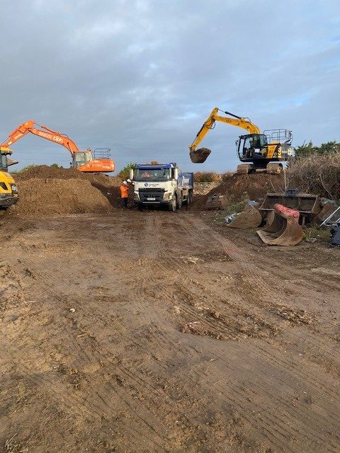 Japanese knotweed excavation
