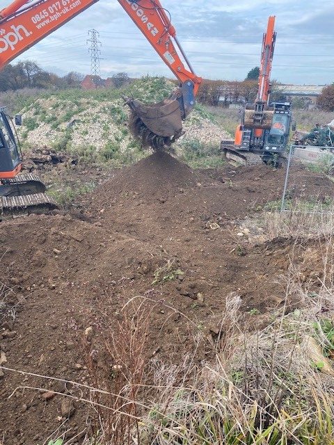 knotweed excavation