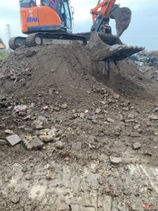 Japanese knotweed excavation