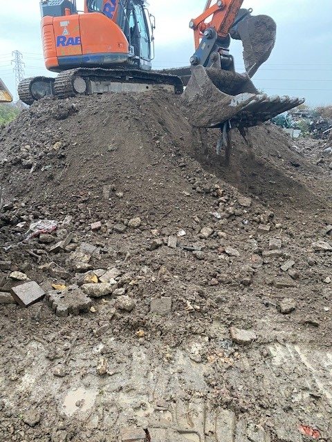 Japanese knotweed excavation