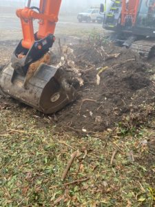 site clearance in Beckton