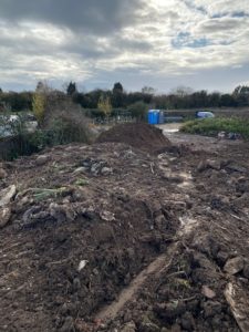 Japanese knotweed excavation