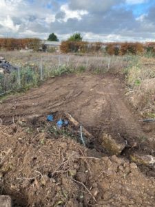 Japanese knotweed excavation