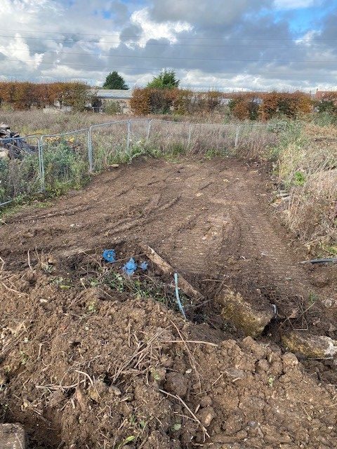 Japanese knotweed excavation