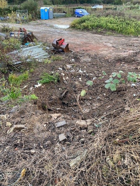 Japanese knotweed excavation