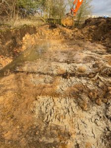 Japanese Knotweed Excavation