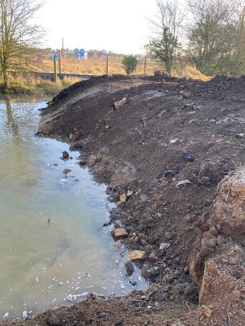 Japanese Knotweed Excavation
