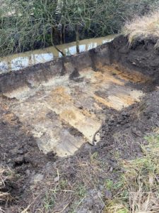 Japanese Knotweed Excavation