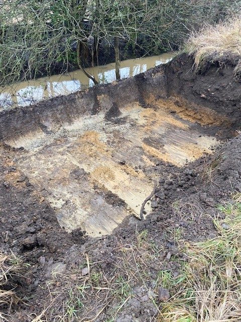 Japanese Knotweed Excavation