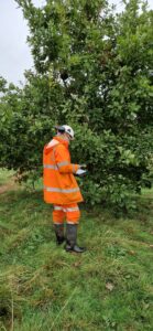 Commercial Site Clearance Cardiff.
