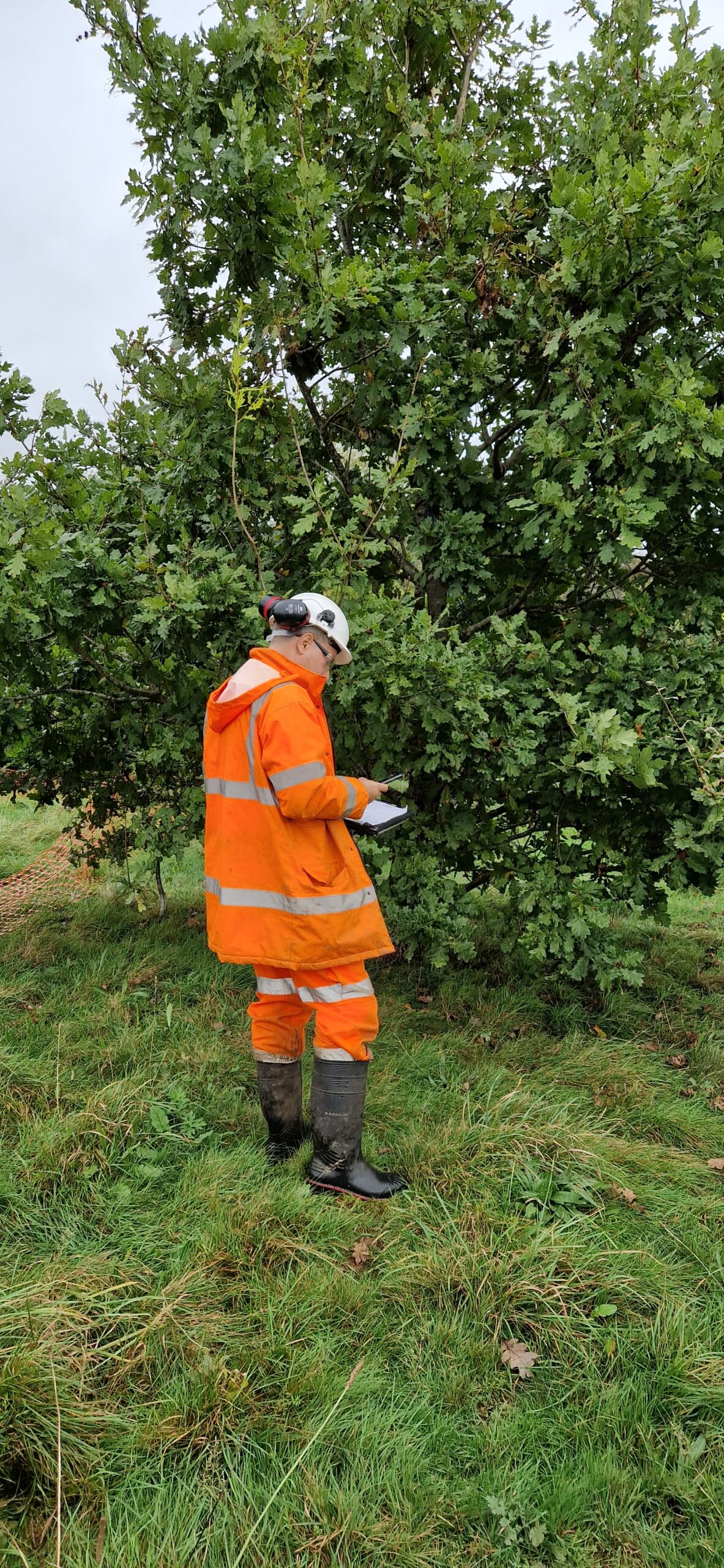Commercial Site Clearance Cardiff.