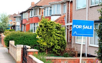 Selling This Summer? How Knotweed Affects Mortgages, Surveys and Buyer Confidence